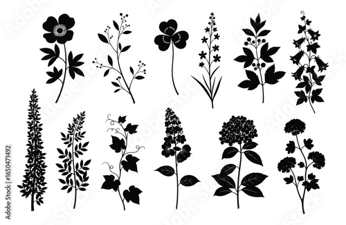Set of various detailed floral elements in black silhouette style, Vector Illustration.