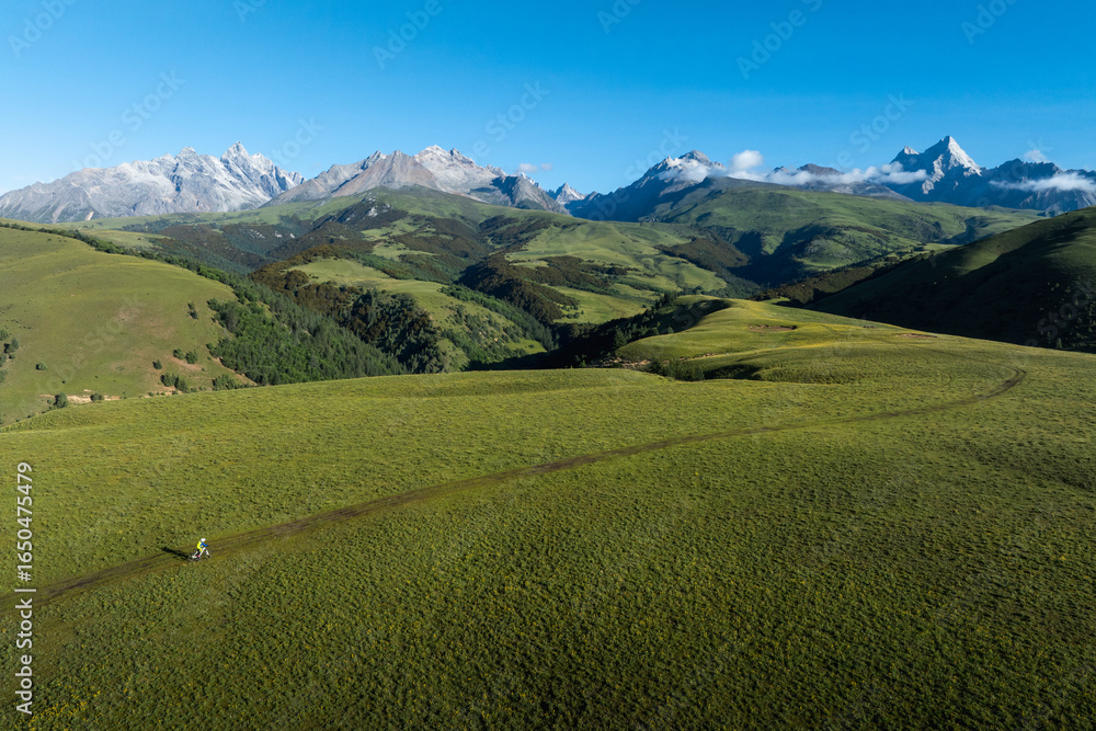 Obraz premium Aerial view of woman riding mountain bike on flowering grassland mountain trail