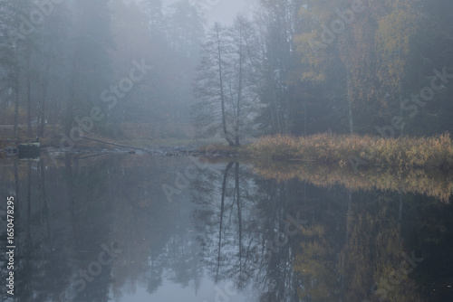 Swedish river and natural salmon area in autumn. Farnebnofjarden national park in north o Sweden.