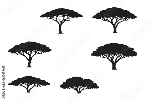 Forest trees set. Isolated vector silhouette. Coniferous forest. Christmas tree, fir-tree, pine, pine-tree, Scotch fir, cedar