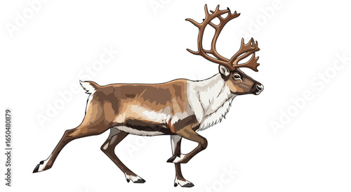 running reindeer a transparent vector illustration for design projects