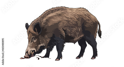 powerful wild boar illustration transparent background for design projects