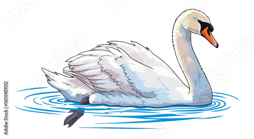 elegant swan on transparent background graceful vector illustration