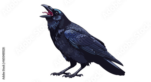 majestic raven illustration transparent background for design projects