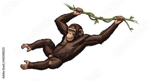 playful chimpanzee swinging on vine transparent background vector illustration