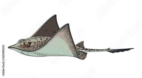 transparent background vector illustration of a spotted eagle ray for design projects