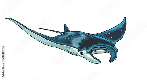 majestic manta ray transparent background vector illustration