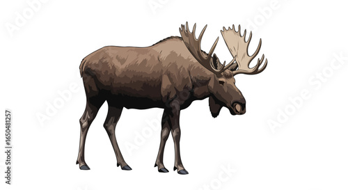 majestic moose illustration transparent background for design projects