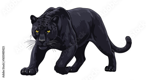 majestic black panther transparent background vector illustration