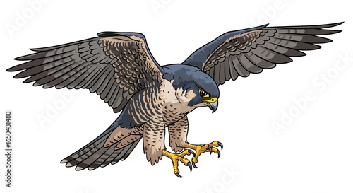 majestic peregrine falcon transparent background vector illustration for design projects