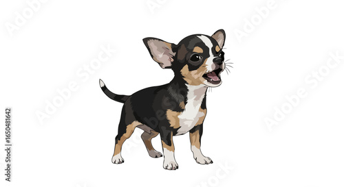 adorable chihuahua puppy transparent background vector illustration