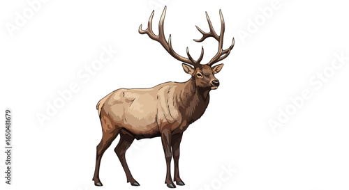 majestic elk with antlers transparent background vector illustration