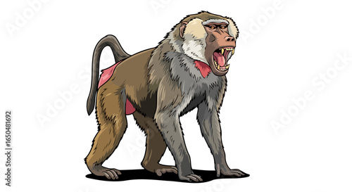 aggressive baboon illustration with transparent background for design projects