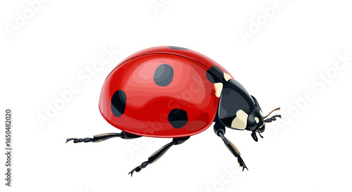 vibrant ladybug illustration transparent background for design projects