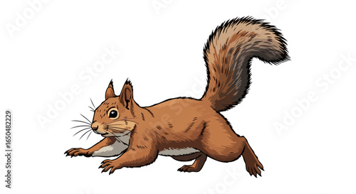red squirrel in motion a transparent vector illustration for design projects
