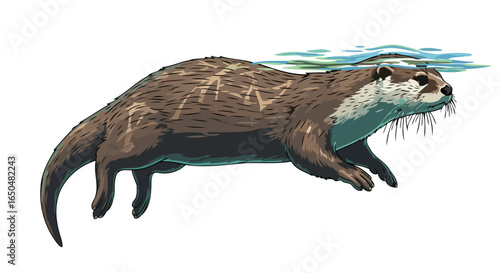 elegant otter swimming transparent background vector illustration