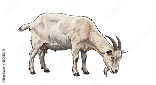 grazing goat a realistic transparent vector illustration for design projects