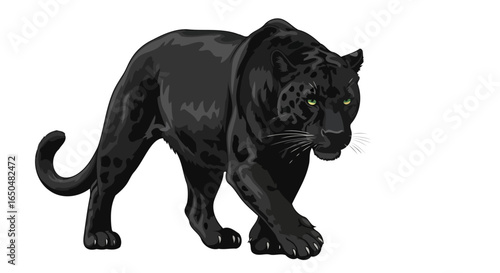majestic black panther transparent background vector illustration for design projects