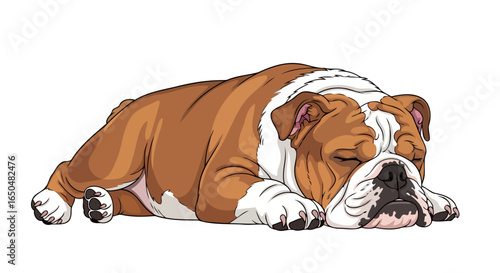 adorable sleeping bulldog transparent background vector illustration