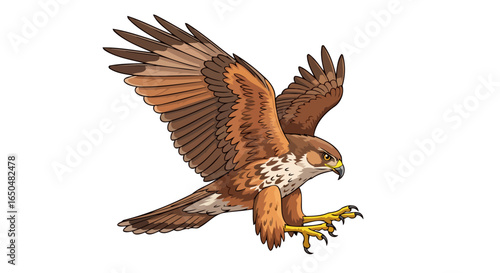 majestic hawk in flight transparent background vector illustration