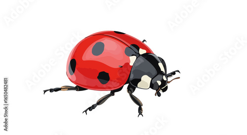 vibrant ladybug illustration transparent background for design projects