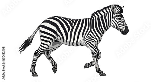 striped zebra in motion transparent background vector illustration