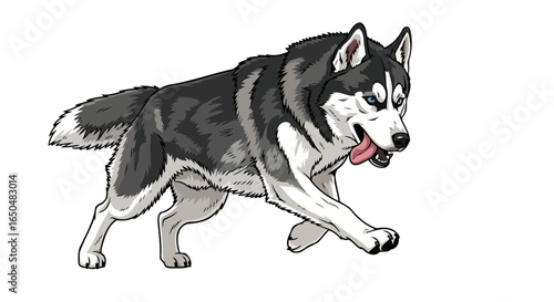 dynamic husky dog running transparent background vector illustration