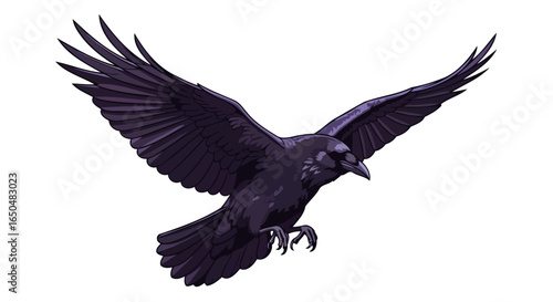 majestic raven in flight transparent background vector illustration