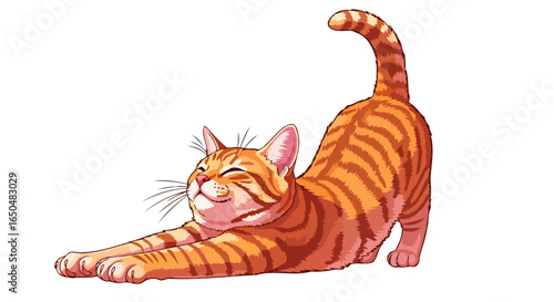 adorable orange tabby cat stretching transparent background vector illustration