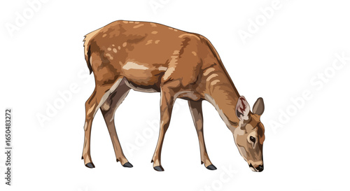 grazing deer transparent background vector illustration for design projects