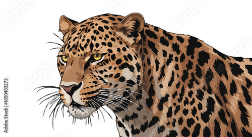 majestic leopard portrait transparent background vector illustration