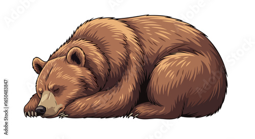 sleeping brown bear transparent background vector illustration for design projects