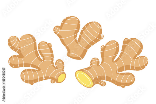 A simple and clean vector illustration of three pieces of ginger root on white background.