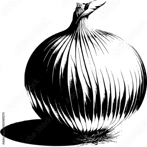 Fresh Onion Still Life: A detailed grayscale rendering of a single onion, its textured skin catching the light, creating a stark contrast against the shadow.
