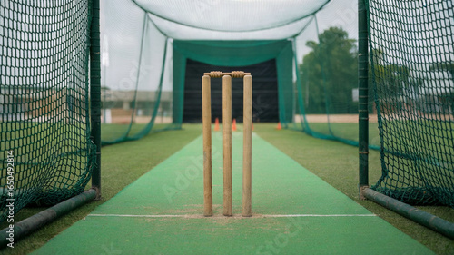Cricket Wickets on Green Pitch with Netting, Sport Training Ground