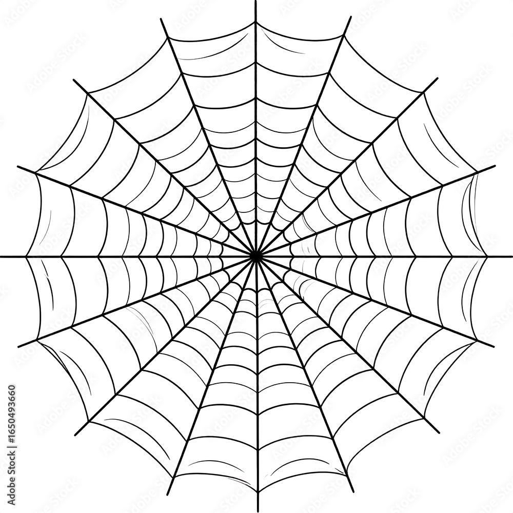 Fototapeta premium Simple spider web graphic