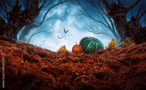 Mysterious dark trees, pumpkins and flying bats