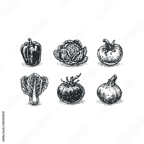 Black and white vintage etchings of six distinct vegetables arranged in two rows