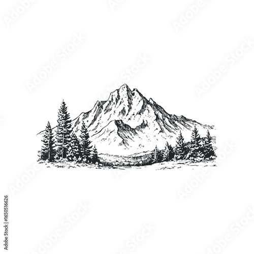 Sketch of snow-capped mountain peak with pine trees and grassy foreground