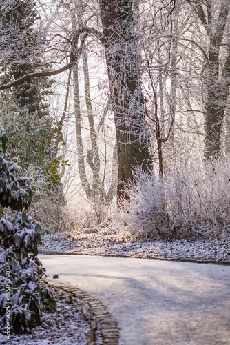Wallpaper Mural A serene winter landscape in a frost-covered forest park, captured in soft morning light. The gently curving path leads the viewer through trees coated with sparkling ice crystals, creating a peaceful Torontodigital.ca
