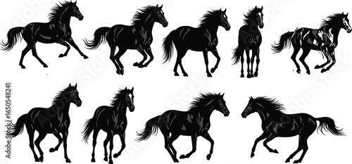 Beautiful black horse silhouettes running and standing, wild stallion in motion