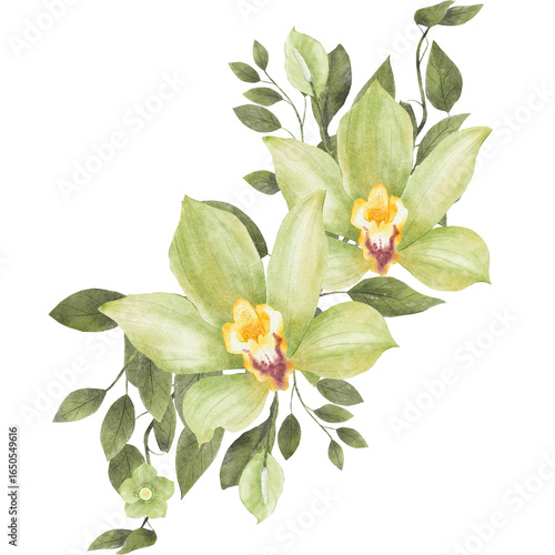 A watercolor cluster of two light green orchids with lush green leaves.

