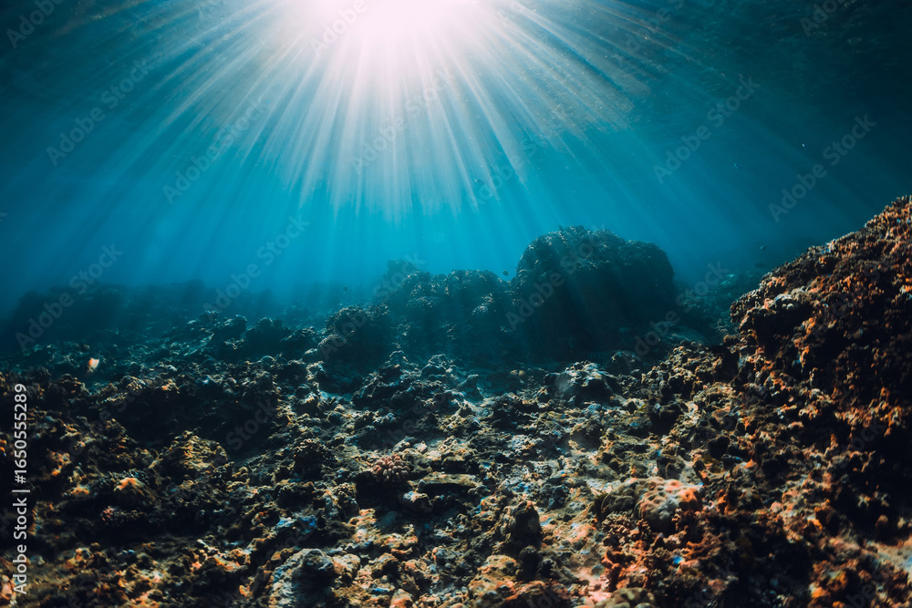 Obraz premium Underwater scene. Tropical sea with corals and sun rays