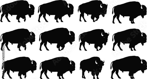 Buffalo silhouette collection, isolated bison clipart, black animal outlines for wildlife design, vector set for decoration, artwork, printBuffalo silhouette collection, isolated bison clipart