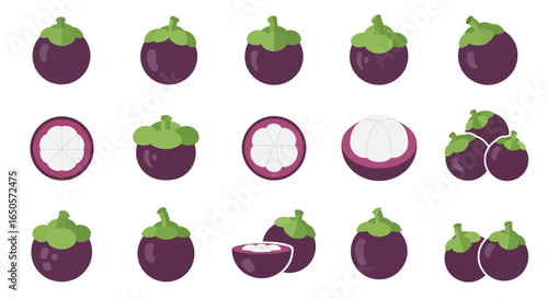 Assorted Mangosteen Fruits Whole and Sliced Illustrations