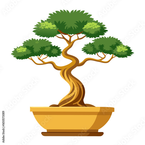 bonsai tree in a pot