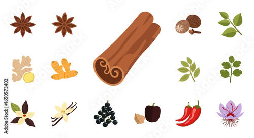 Assortment of various aromatic spices and herbs in a flat illustration style