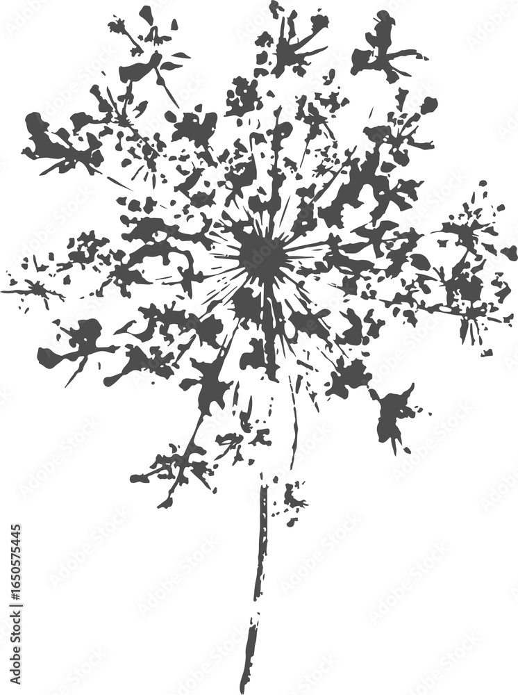 Naklejka premium Wild carrot Daucus Carota flower imprint, an umbelliferous plant, stamp, silhouette. PNG.