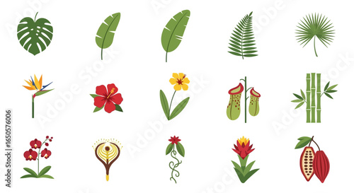Collection of Flat-Style Tropical Plants and Flowers:  Hibiscus, Bird of Paradise, Orchid, and More