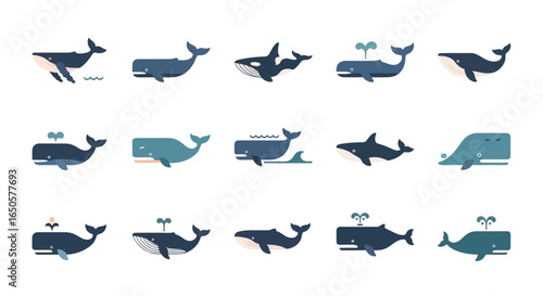 Collection of stylized whale illustrations, various species depicted in simplified, flat design with muted blue tones, showcasing different poses and blowhole d